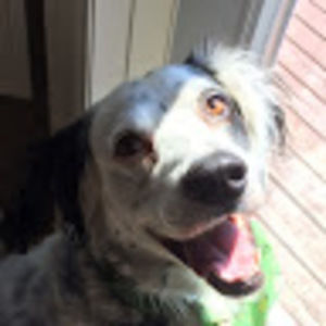 Meet your Posher, Shan!